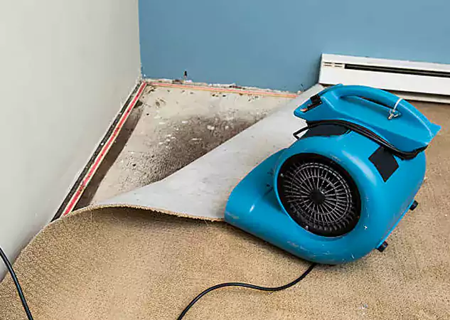 Your Water Damage Experts in Rockmart, GA