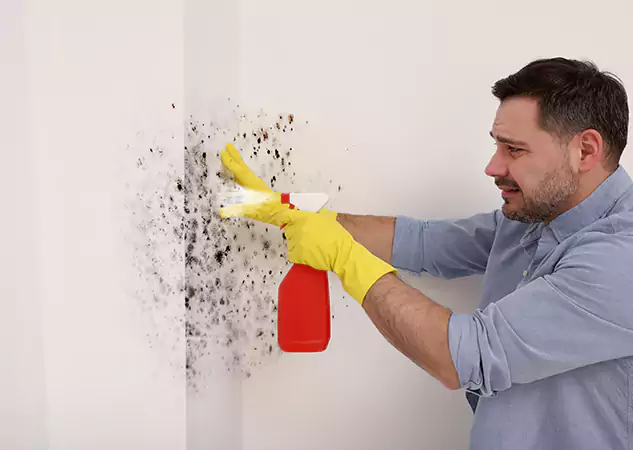 Your Water Mold Fire Restoration Partner in Rockmart, GA