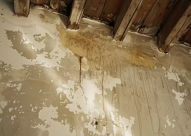 Your Trusted Restoration Company in Rockmart, GA