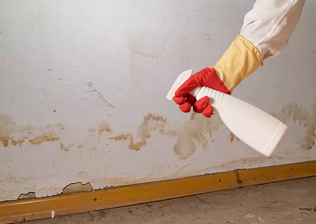 Your Water Restoration and Mold Remediation Specialists in Rockmart, GA