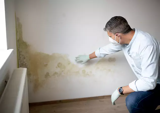 Reach Our Remediation Team Before Damage Grows in Rockmart, GA!