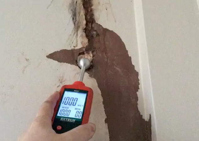 Your Water Damage Assessment Partner in Rockmart, GA
