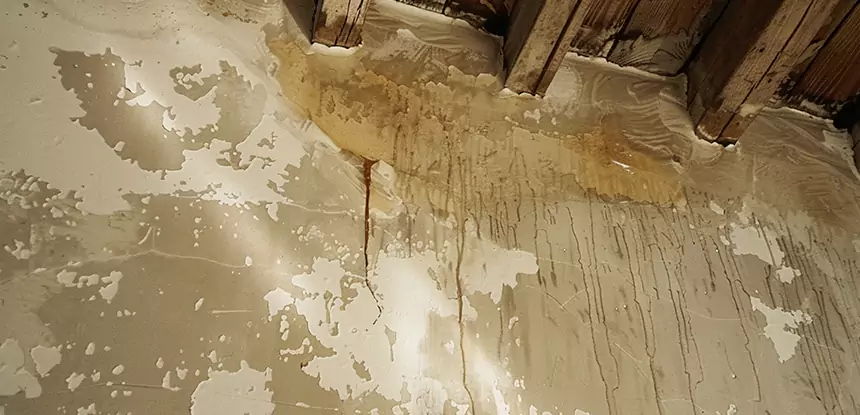 Professional Attic Water Damage Repair Services in Rockmart, GA