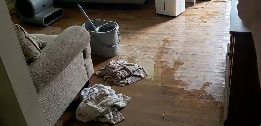 Professional Basement Water Remediation Services in Rockmart, GA