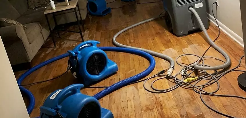 Basement Flood Restoration Services in Rockmart