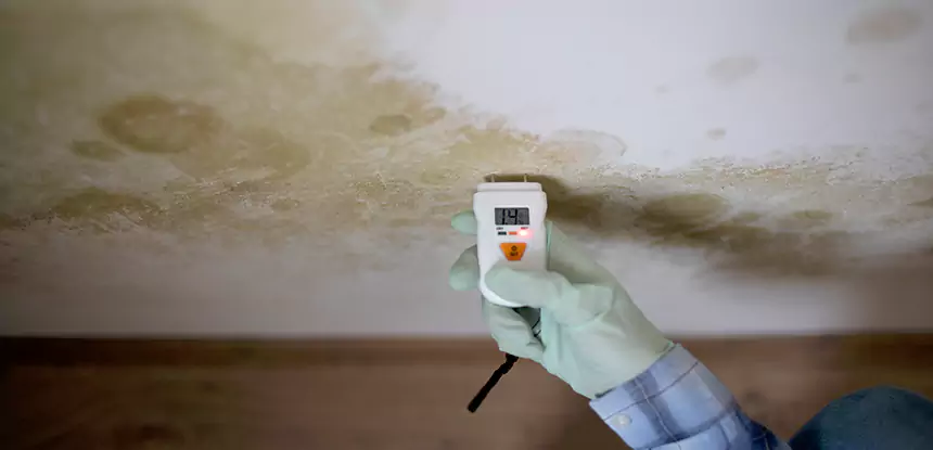 Emergency Mold Remediation in Rockmart