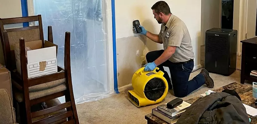 Carpet Water Damage Repair Rockmart