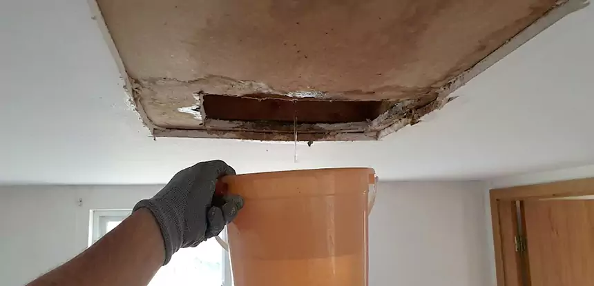 Ceiling Mold Repair Rockmart
