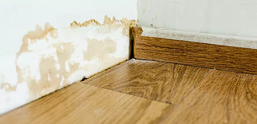 Professional Fix Water Damaged Wood Services in Rockmart, GA