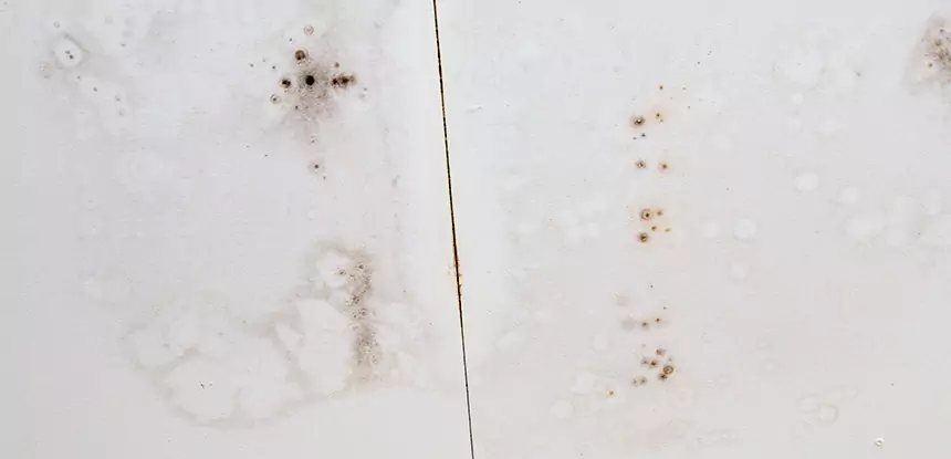Professional Water Stain Repair Services in Rockmart, GA