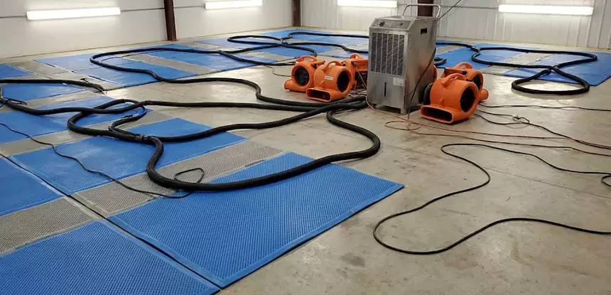 Professional Flooded Carpet Drying Services in Rockmart, GA