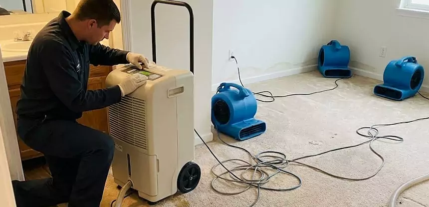 Professional Wet Carpet Removal Services in Rockmart, GA