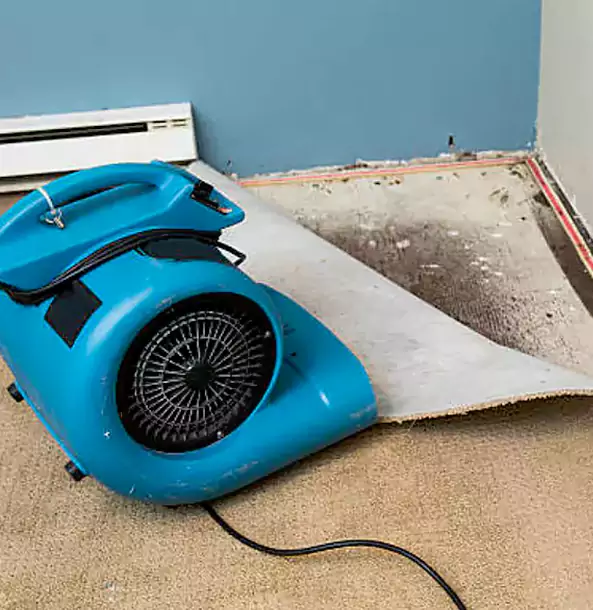 Why Rockmart Trusts Rockmart Restoration Pro for Carpet Flood Recovery?
