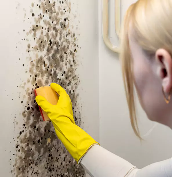 Why Rockmart Restoration Pro Leads Mold Remediation in Rockmart?