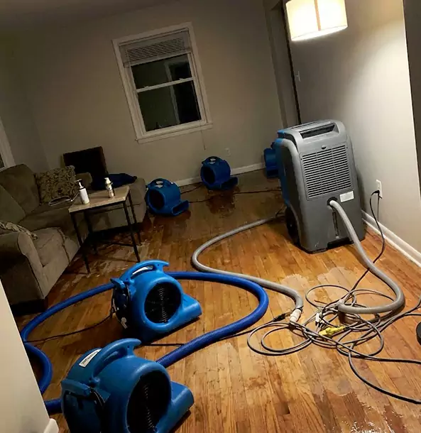 Why Rockmart Property Owners Rely on Rockmart Restoration Pro for Remediation?