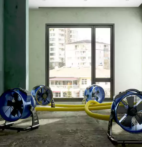Why Rockmart Property Owners Trust Rockmart Restoration Pro for Water Damage Drying?