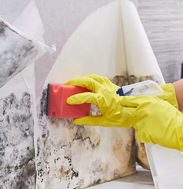Why Rockmart Trusts Rockmart Restoration Pro for Mold and Water Restoration?