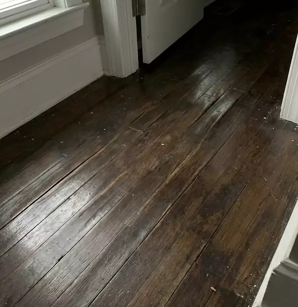Why Rockmart Homeowners Trust Rockmart Restoration Pro to Fix Water Damaged Wood?