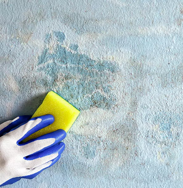 Why Rockmart Restoration Pro Is the Right Choice in Rockmart, GA?