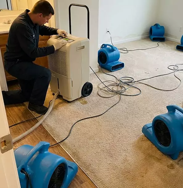 Why Rockmart Homeowners and Businesses Trust Rockmart Restoration Pro for Carpet Drying?