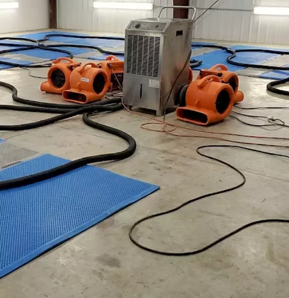 Why Rockmart Homeowners and Businesses Choose Rockmart Restoration Pro for Wet Carpet Removal?