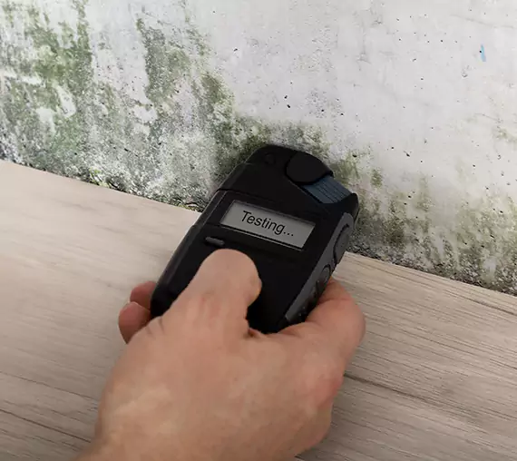 Mold Remediation Service Rockmart