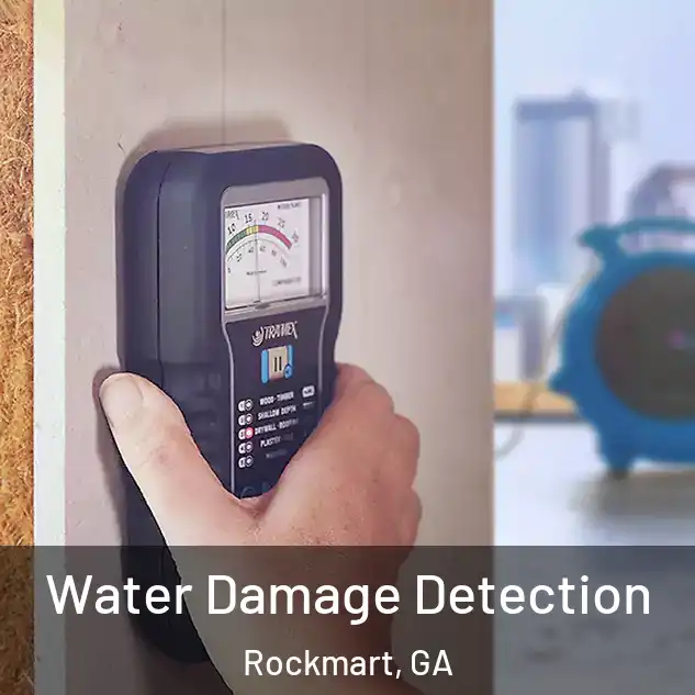  Water Damage Detection Rockmart, GA