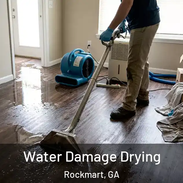  Water Damage Drying Rockmart, GA