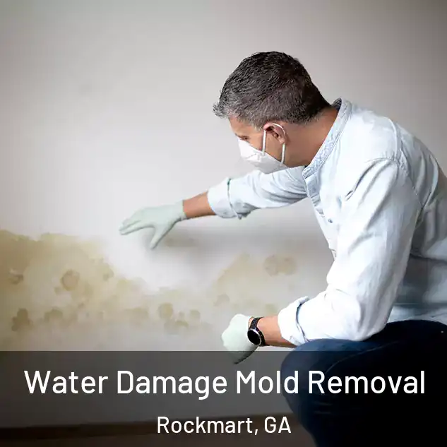  Water Damage Mold Removal Rockmart, GA